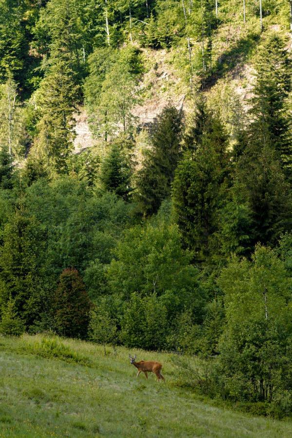 Медовий Двір Rozhanka Nizhnyaya Extérieur photo