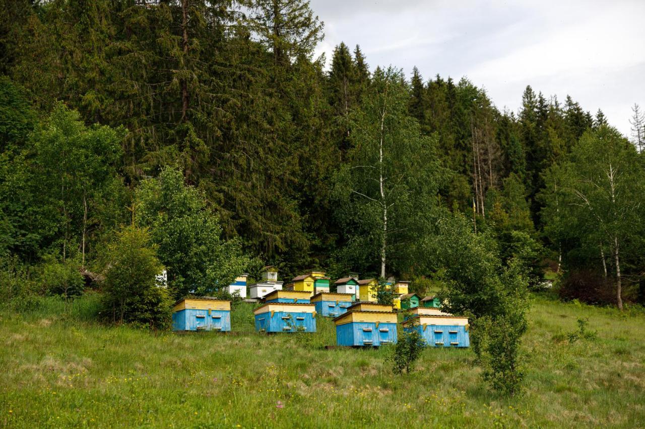 Медовий Двір Rozhanka Nizhnyaya Extérieur photo